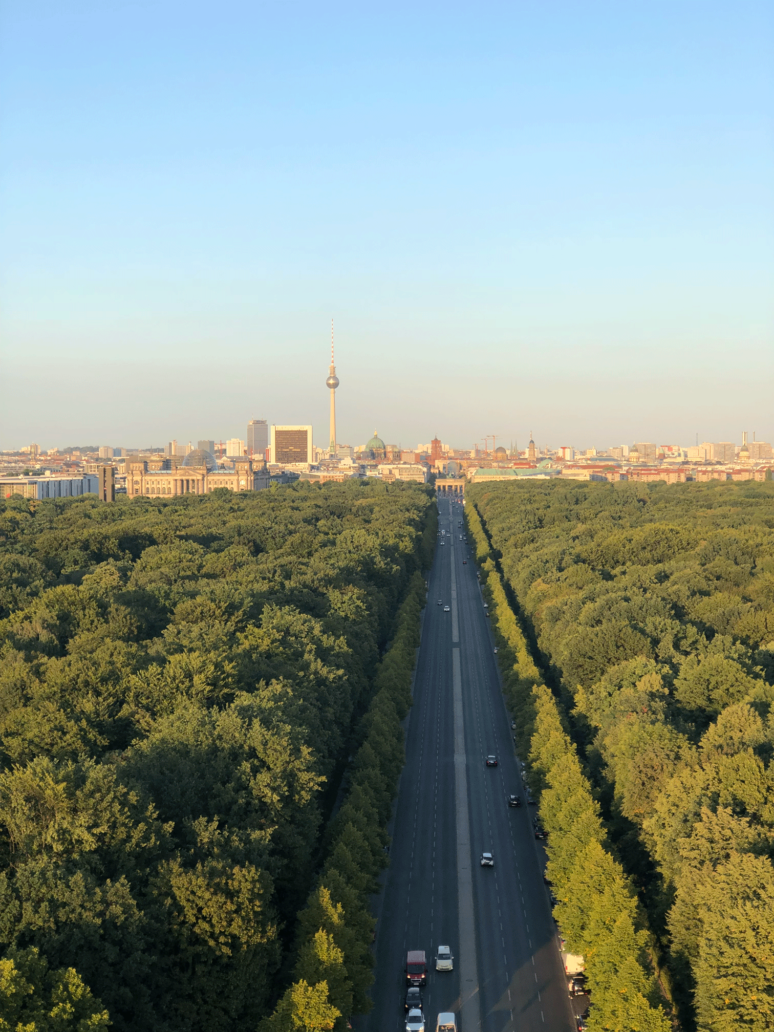 Bild von Berlin über den Tiergarten mit Sicht auf den Fernsehturm und Berlin Mitte. Die Heimat von Wampys. Hier werden sie entworfen und produziert. 